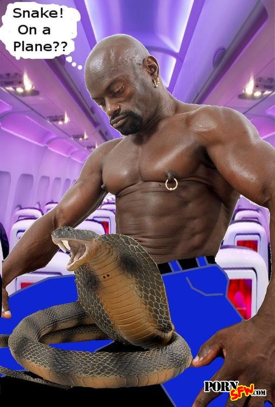 Snakeonaplane
